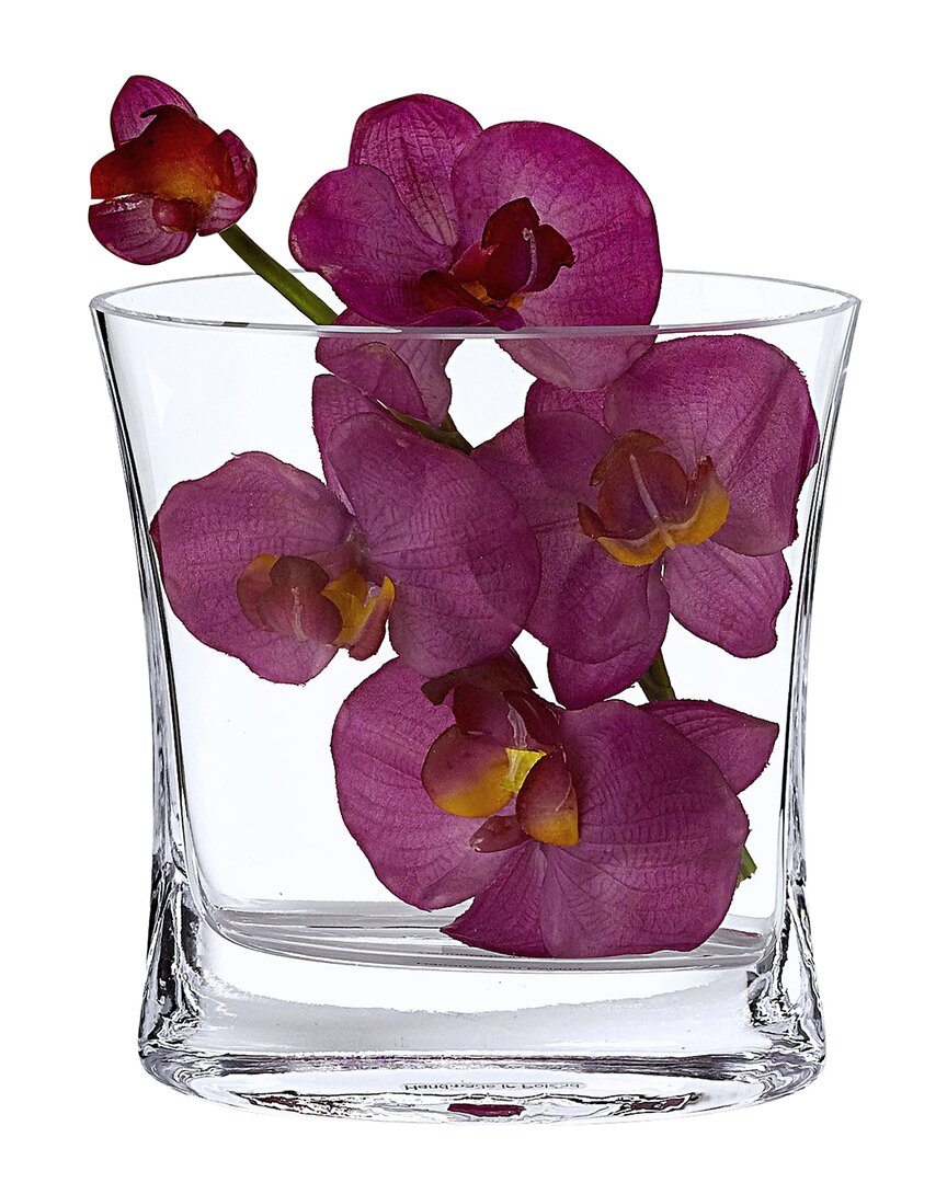 Badash Crystal Riviera European Mouth-blown Large Pocket Vase In Clear