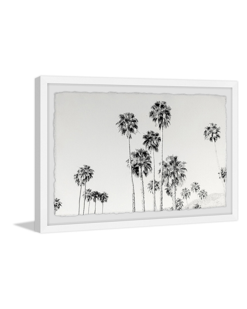 Marmont Hill California Palm Trees Framed Painting Print By Morgan Hartley