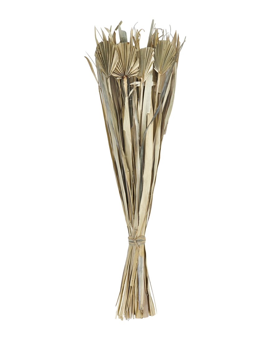 Peyton Lane Beige Dried Plant Natural Foliage