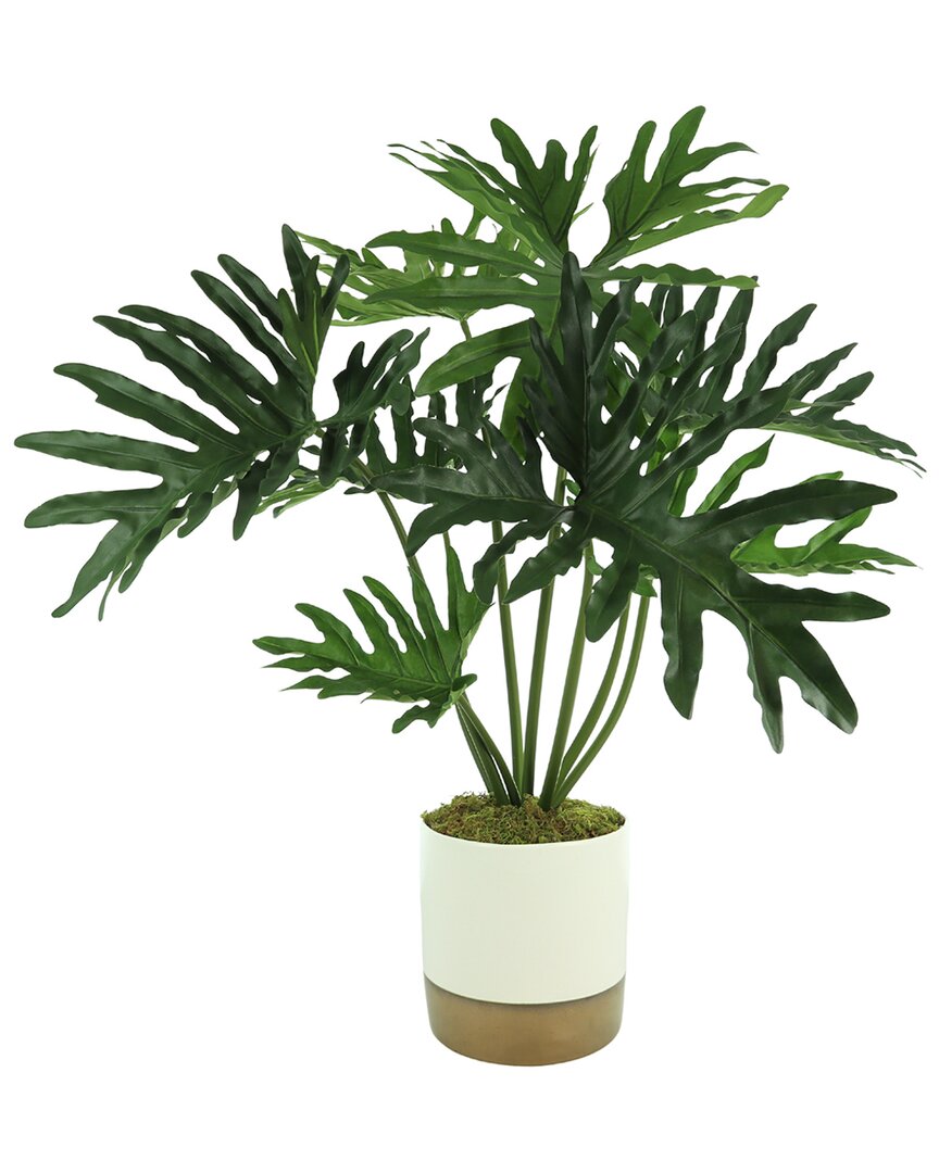 Creative Displays Philodendron Plant A White And Gold Ceramic Pot In Green