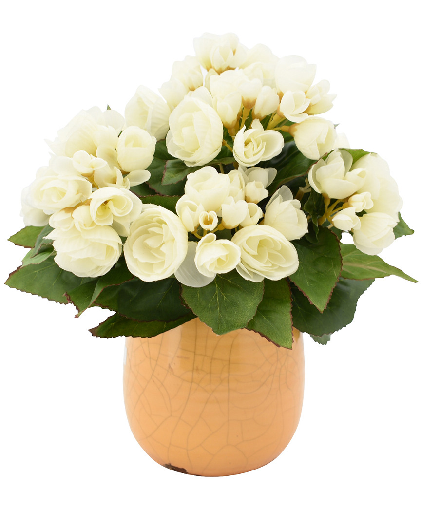 Creative Displays White Begonia Floral Arrangement