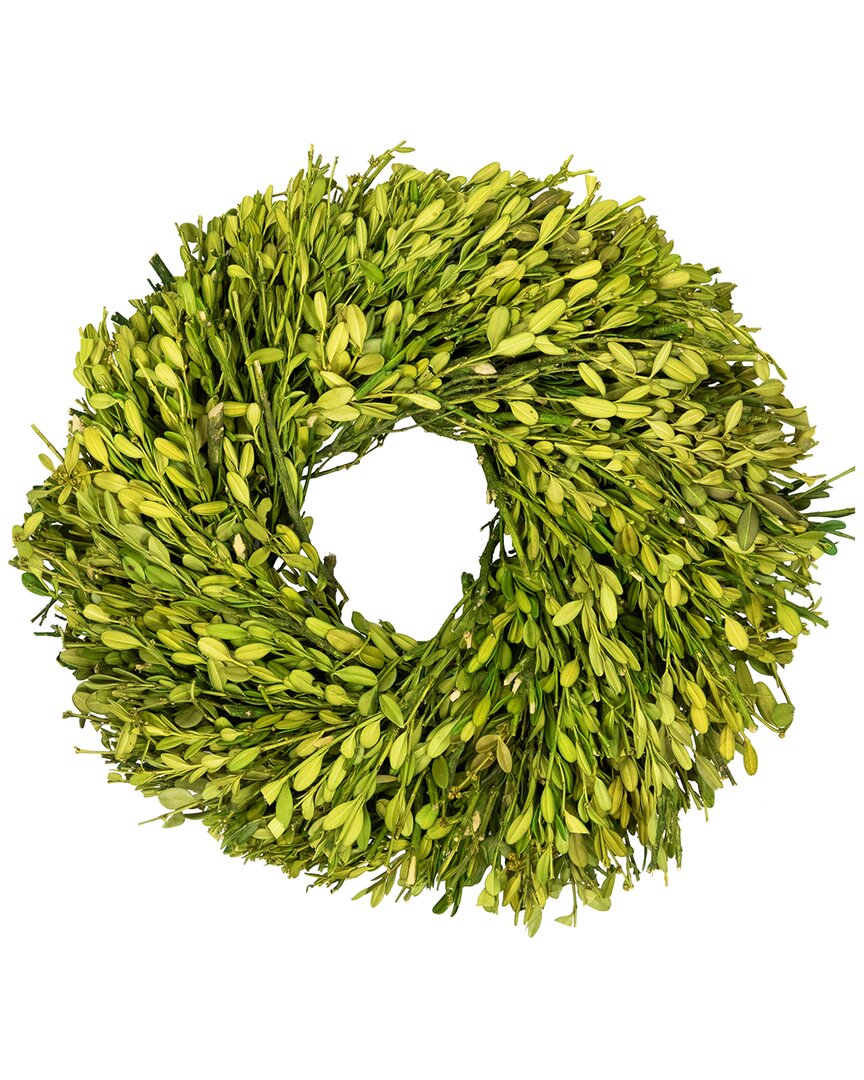 Northlight Foliage Artificial Spring Wreath In Green