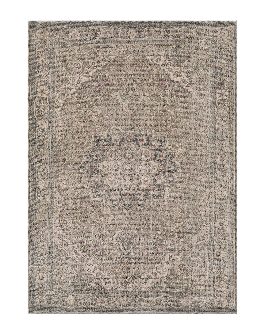 Surya Colin Traditional Washable Rug In Brown