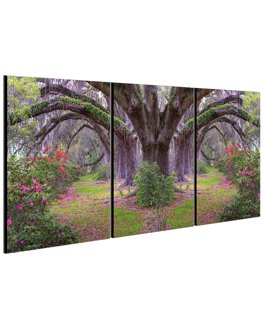 CHIC HOME CHIC HOME DESIGN LAVENDER CHERRY 3PC SET WRAPPED CANVAS WALL ART