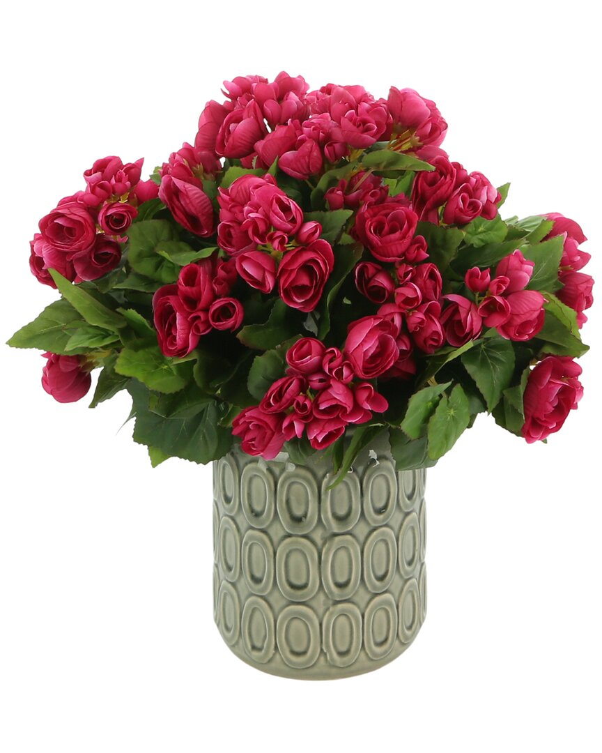 Creative Displays Begonias In A Ceramic Vase In Pink