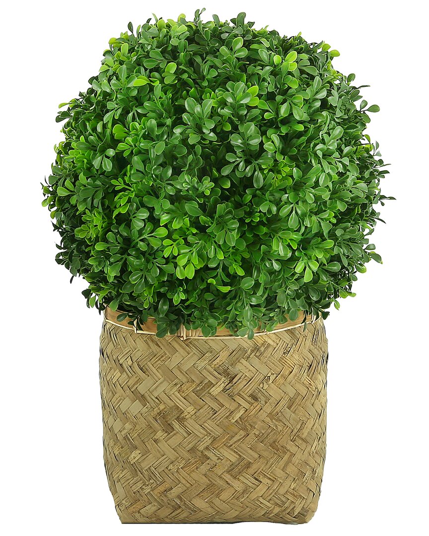 Creative Displays Uv-rated Outdoor Boxwood Ball In Basket Planter In Green