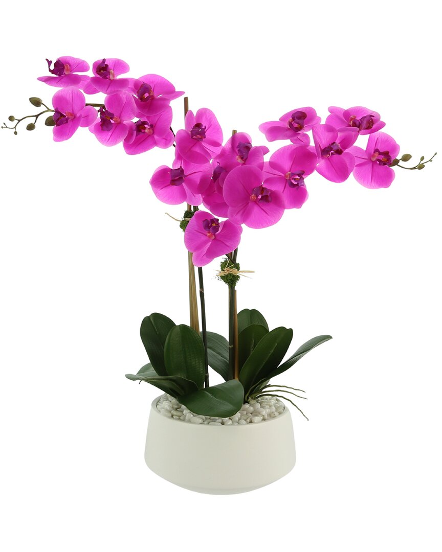 Creative Displays Hot Pink Orchid Floral Arrangement In Multi
