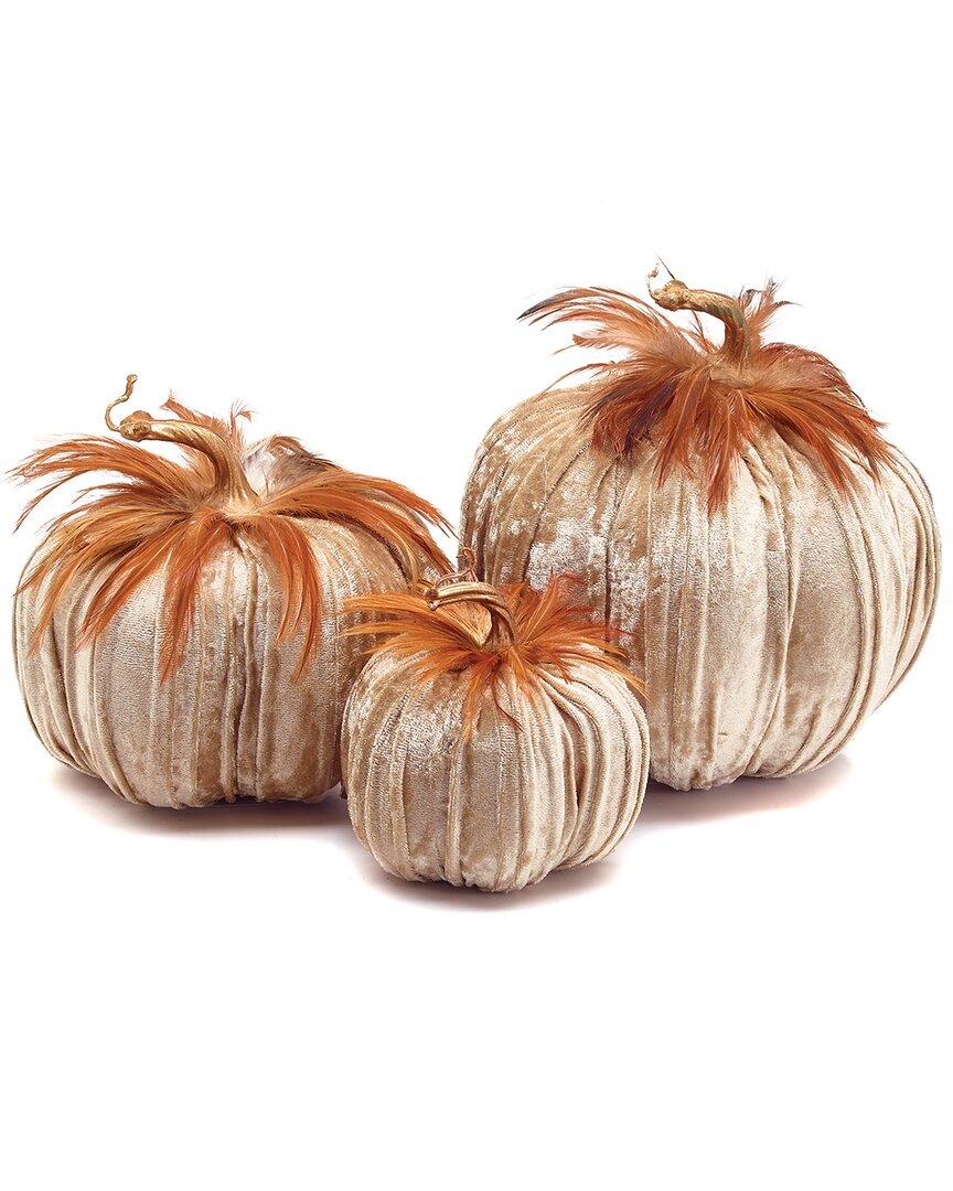 Burton & Burton Burton + Burton Set Of 3 Champagne Velvet Pumpkin With Feathers In Gold