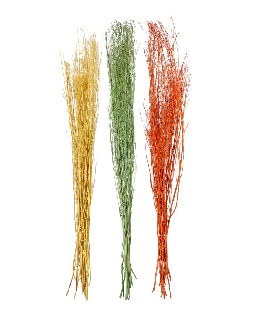 Shop Peyton Lane Set Of 3 Pigeon Pea Multi Colored Dried Plant Natural Foliage