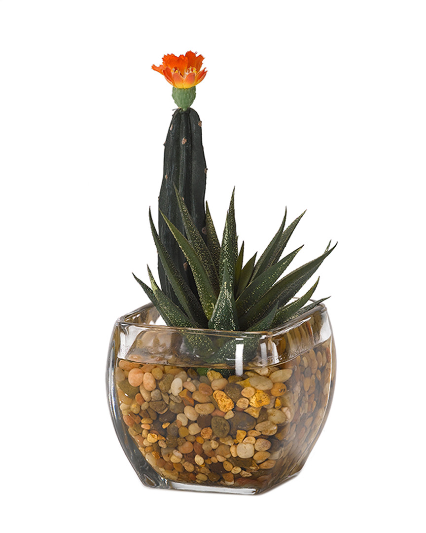 D&w Silks Mini Column Cactus And Aloe In Glass Cube