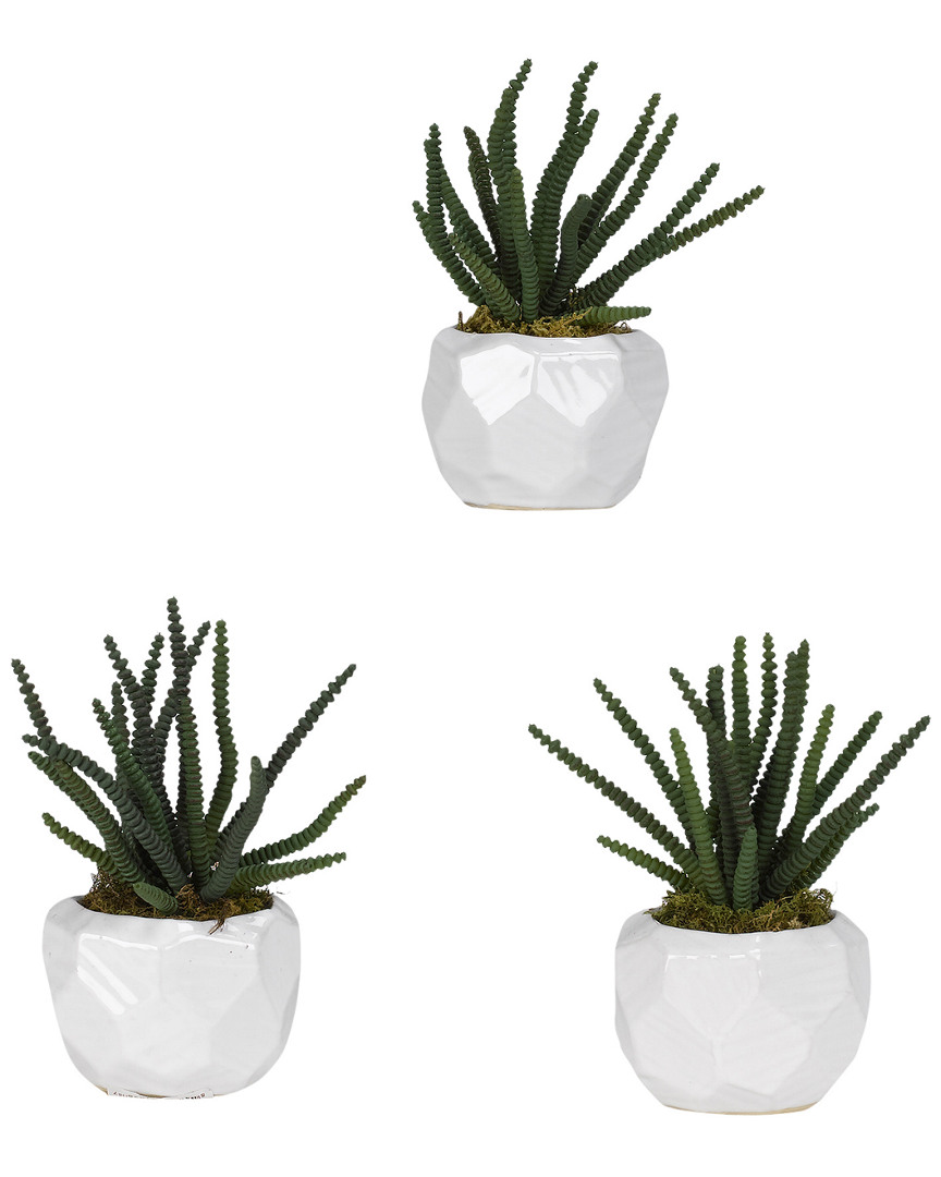 D&w Silks Set Of 3 Worm Succulent In Glossy White Ceramic