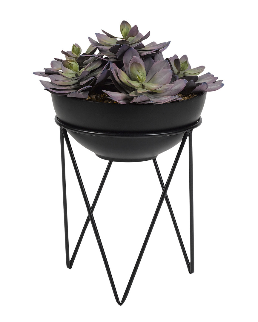 D&w Silks Frosted Pink Echeveria In Black Resin Bowl With Metal Stand