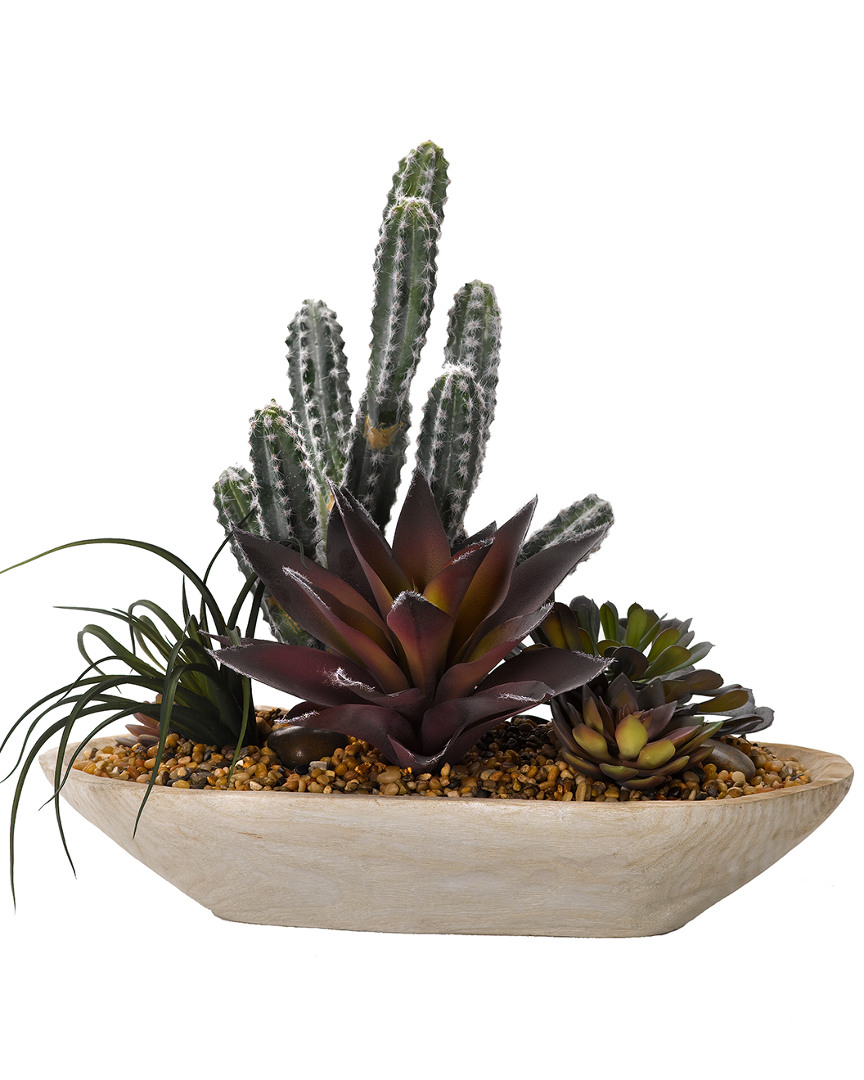 D&w Silks Cactus And Succulents In Wooden Bowl