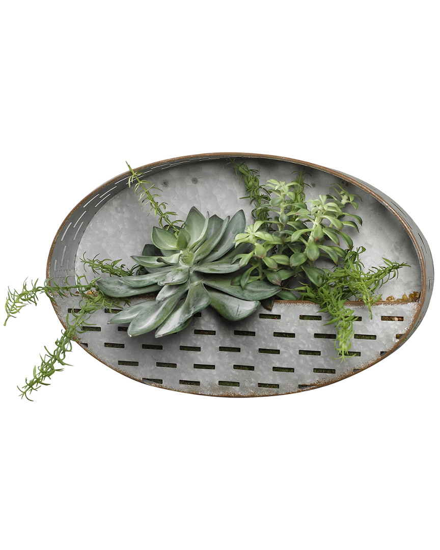 D&w Silks Frosted Echeveria, Tree Succulents And Rosemary In Oval Metal Wall Sconce