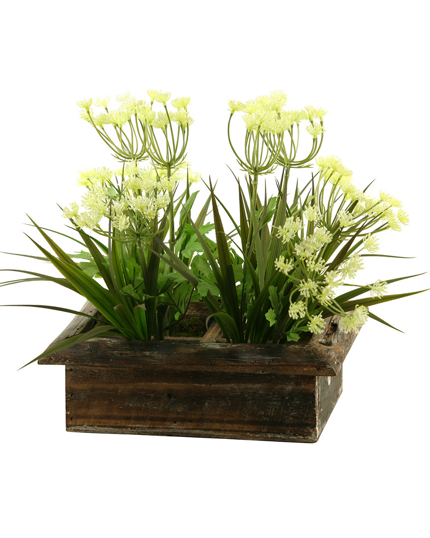 D&w Silks Queen Annefts Lace And Grass In Square Wood Planter Box