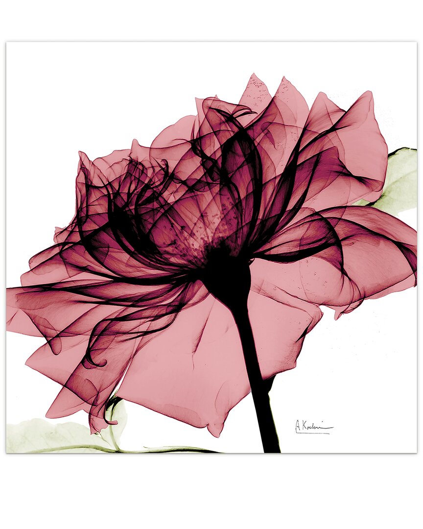 Empire Art Direct Chianti Rose I By Albert Koetsier Wall Art