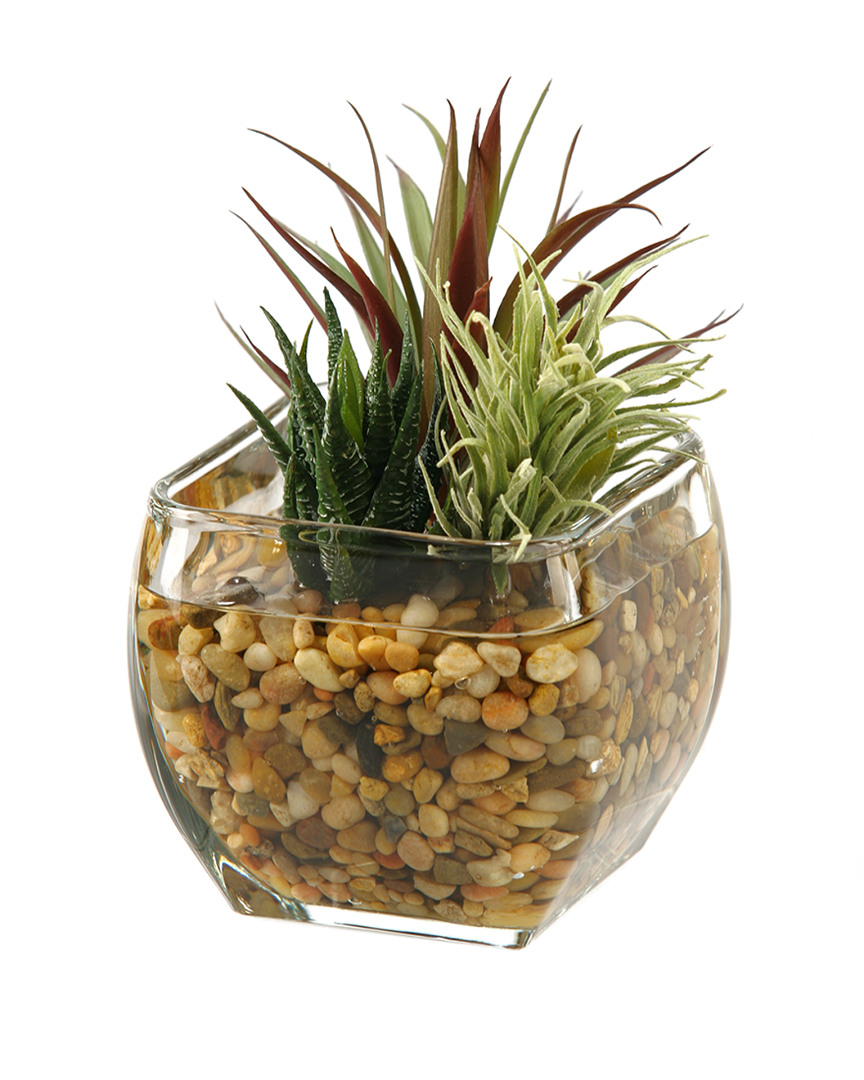 D&w Silks Aloe And Easter Grass In Glass Cube