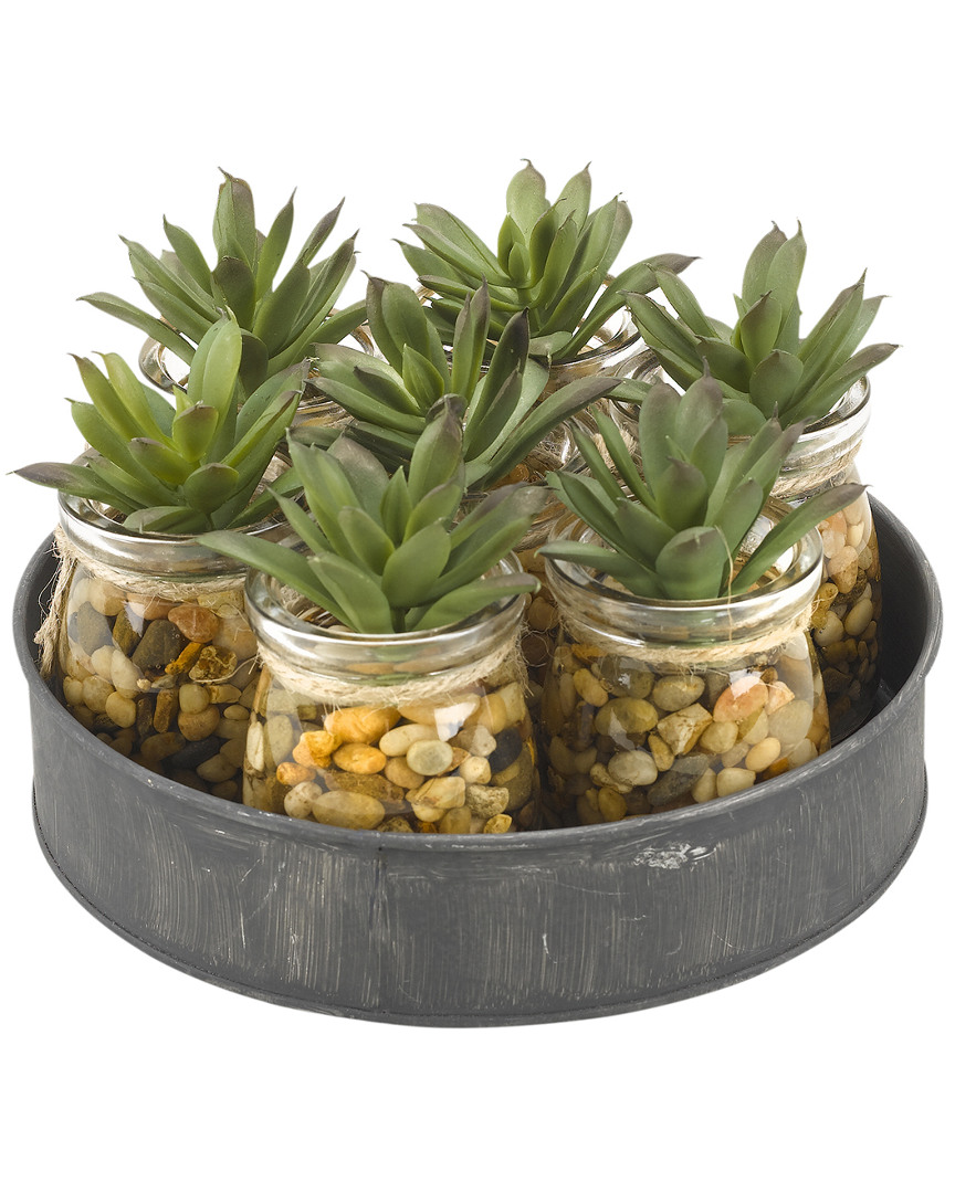 D&w Silks Mini Aloe Plants In Small Glass Jars Set On Metal Tray