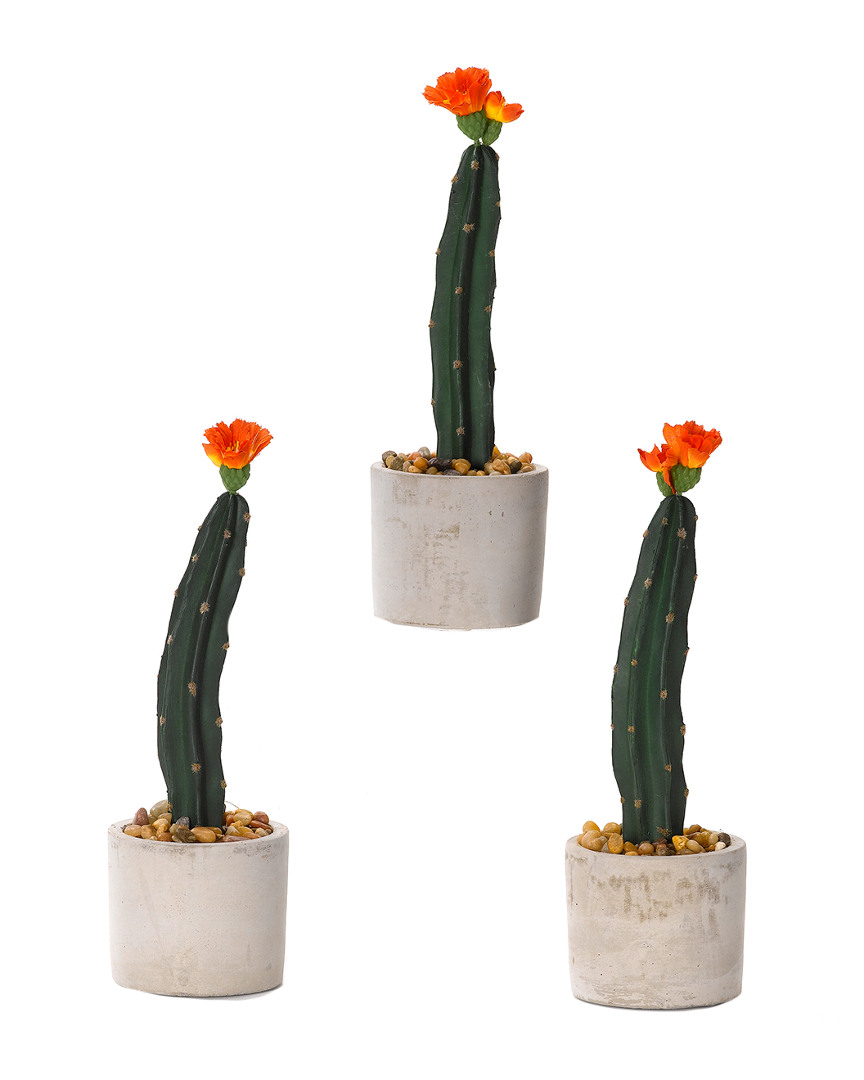 D&w Silks Set Of 3 Mini Column Cactus In Small Round Cement Planter