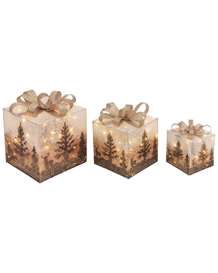 Gerson International Set Of 3 Electric Operated Lighted Holiday Jewel In White
