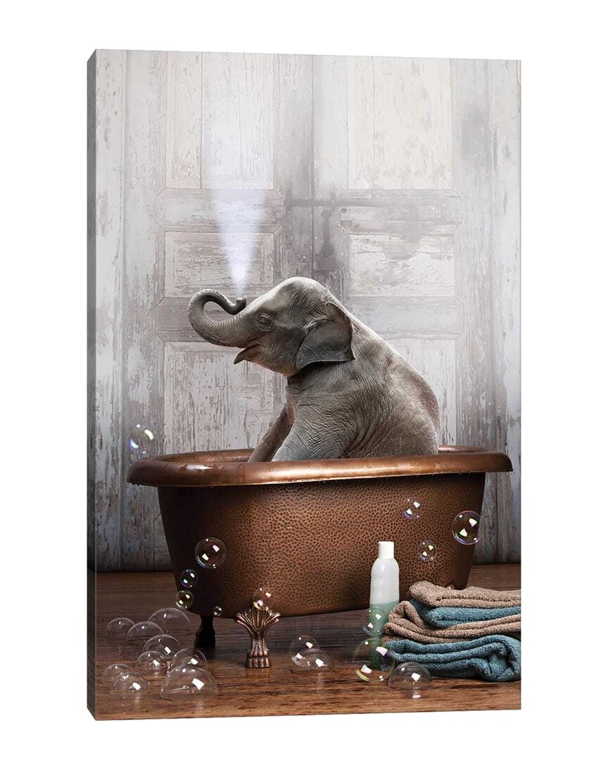 Icanvas Elephant In The Tub By Domonique Brown Wall Art