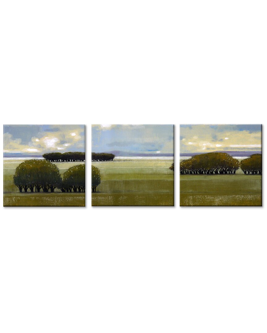 Ready2hangart Nice Green Wrapped Canvas Wall Art By Norman Wyatt