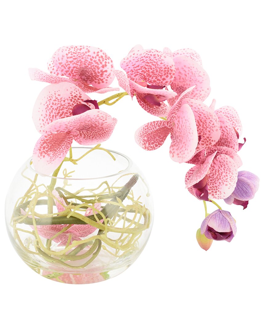 Creative Displays Pink Orchid Arrangement In Glass Bubble Bowl