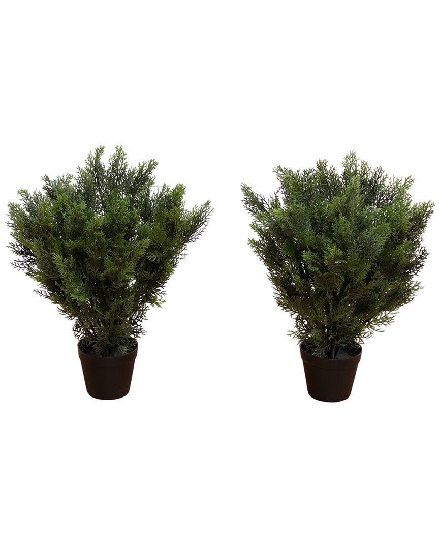 Nearly Natural Set Of 2 Indoor/outdoor Uv-resistant 2ft Artificial Cedar Trees In Green