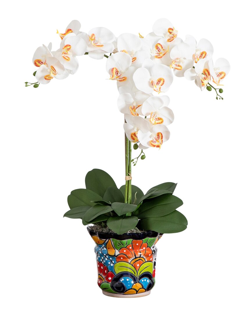 NEARLY NATURAL NEARLY NATURAL ARTIFICIAL TRIPLE ORCHID ARRANGEMENT IN HANDMADE MEXICAN TALAVERA CERAMIC PLANTER 