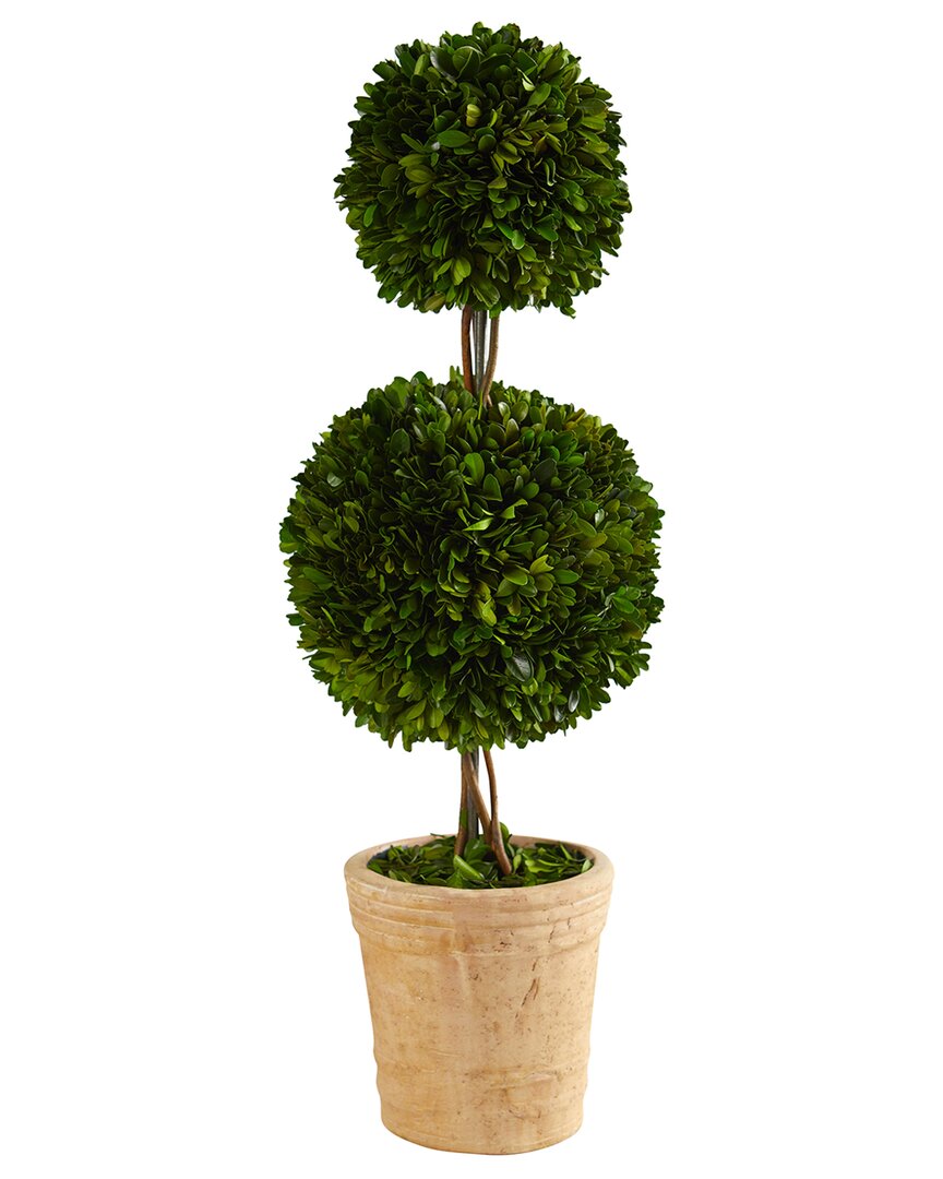 NEARLY NATURAL NEARLY NATURAL 2.5FT PRESERVED BOXWOOD DOUBLE BALL TOPIARY TREE IN DECORATIVE PLANTER