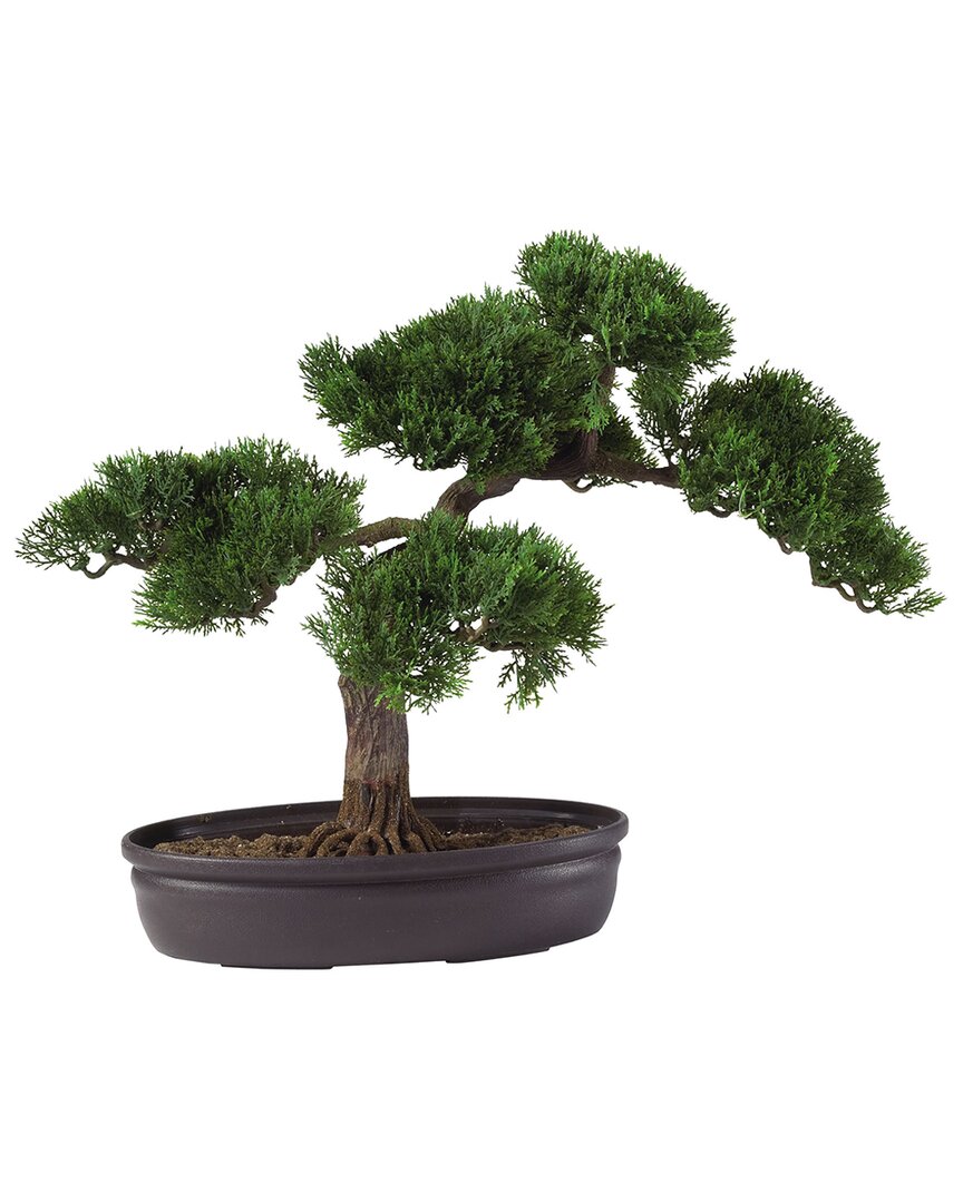 NEARLY NATURAL NEARLY NATURAL CEDAR BONSAI SILK PLANT