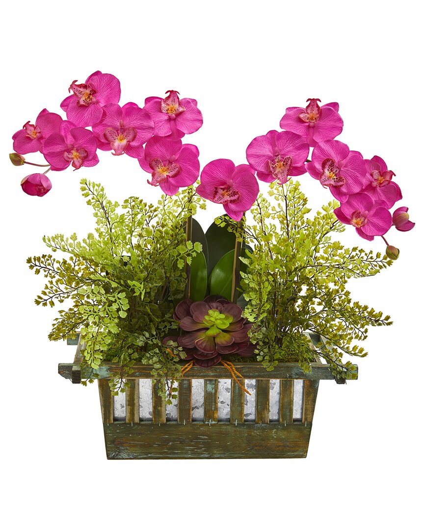 NEARLY NATURAL NEARLY NATURAL ORCHID, SUCCULENT & MAIDEN HAIR ARTIFICIAL ARRANGEMENT 