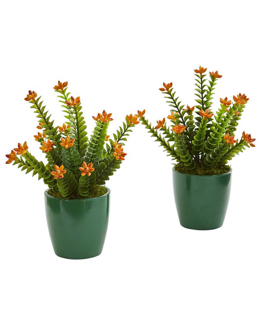 NEARLY NATURAL NEARLY NATURAL SET OF 2 SEDUM SUCCULENT ARTIFICIAL PLANTS IN GREEN PLANTER 