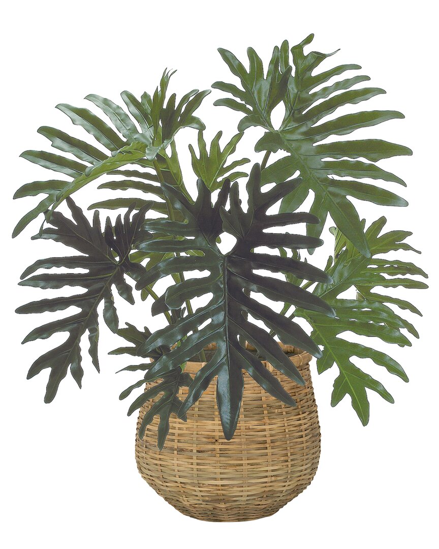 Creative Displays 2.5ft Philodendron Plant With Bamboo Planter In Green