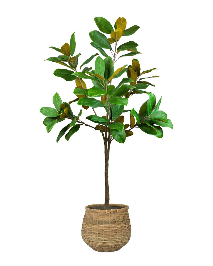 CREATIVE DISPLAYS CREATIVE DISPLAYS UV-RATED 5FT MAGNOLIA TREE DROP-IN WITH BAMBOO PLANTER 