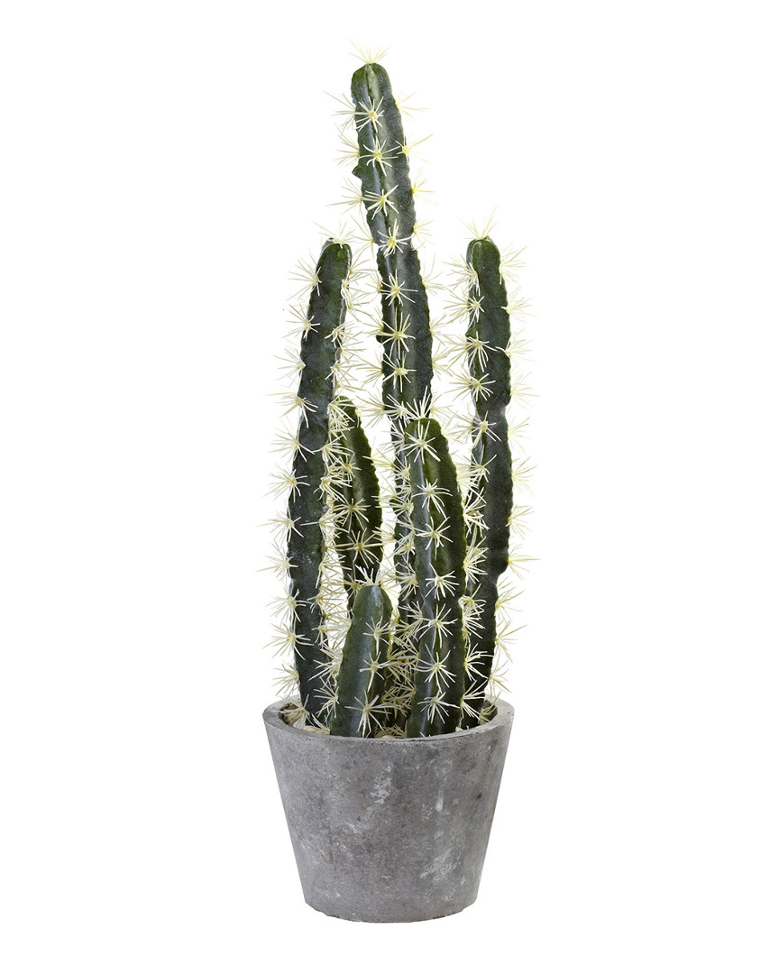 Shop Nearly Natural Decorative Cactus Garden