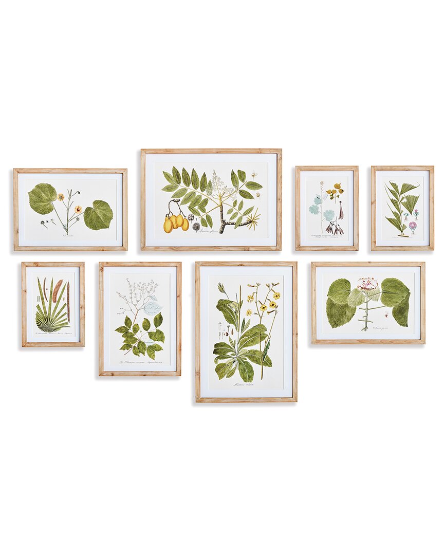 Napa Home & Garden Set Of 8 Flora & Fauna Gallery Prints In Beige