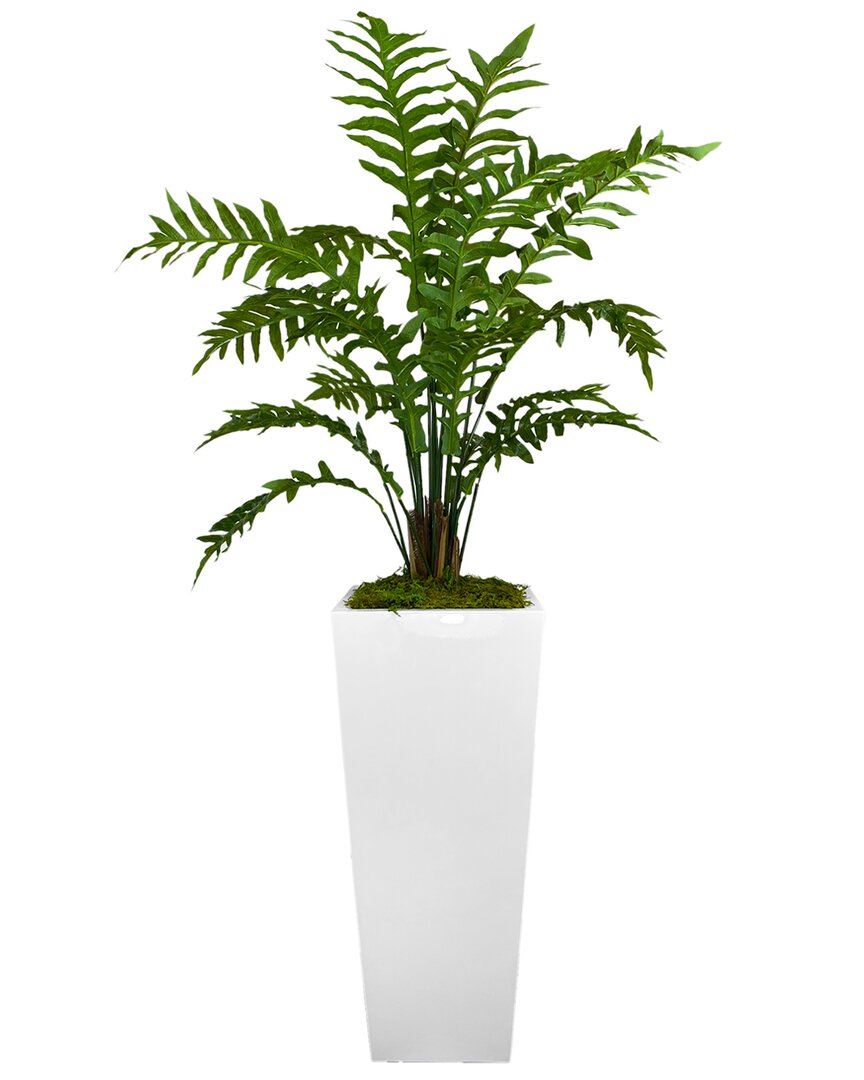 Creative Displays Fern Arrangement In A White Tall Fiberstone Planter In Green