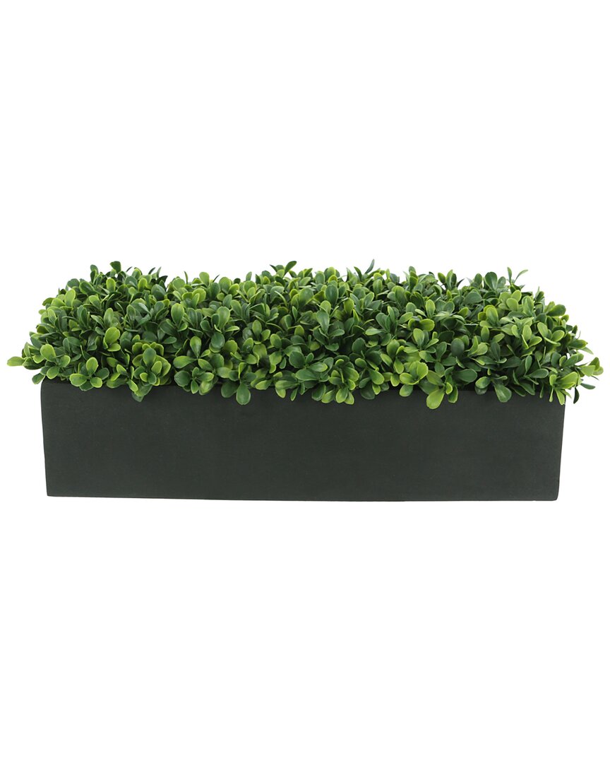 Creative Displays Boxwood Greenery Display