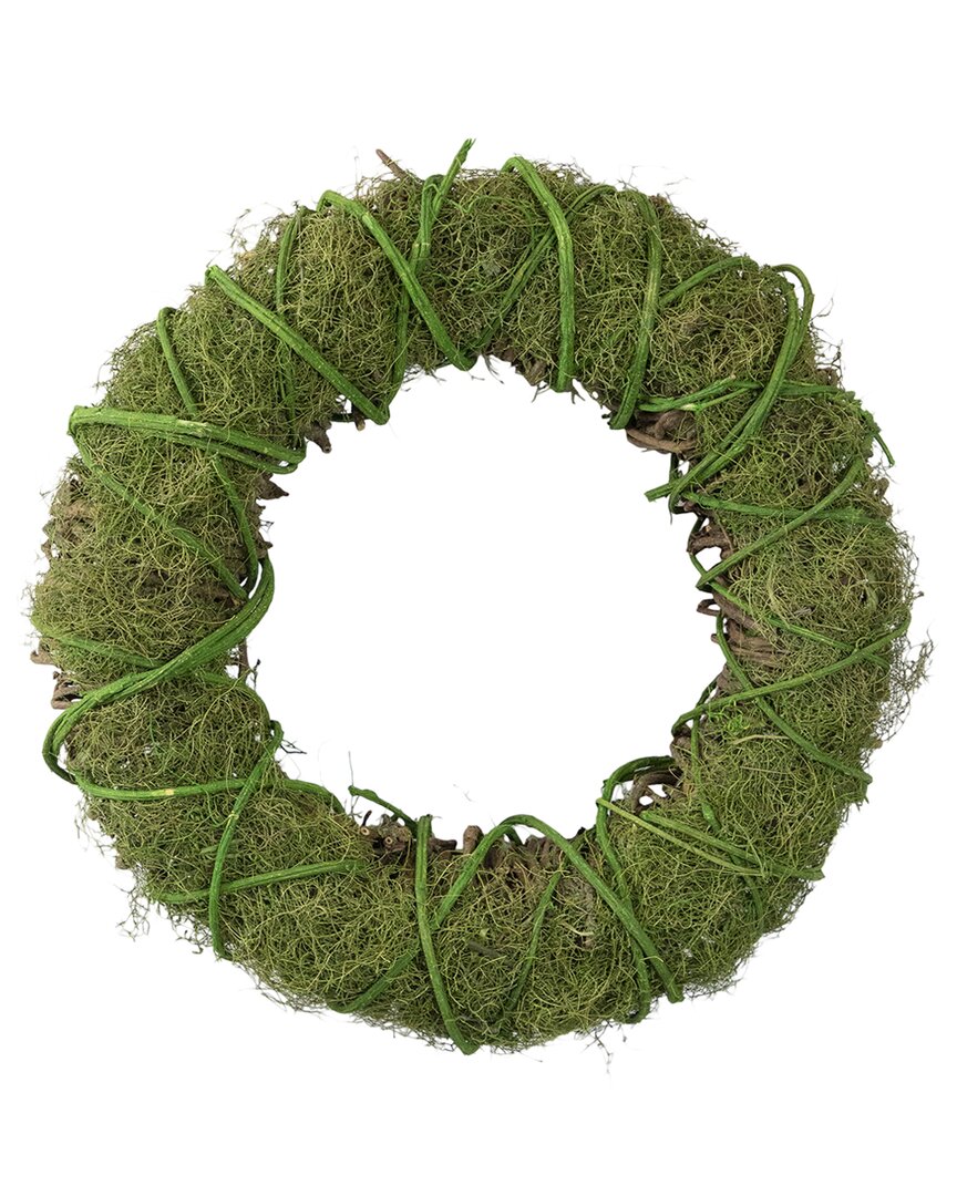 Northlight 15in Moss & Vine Artificial Spring Wreath In Green