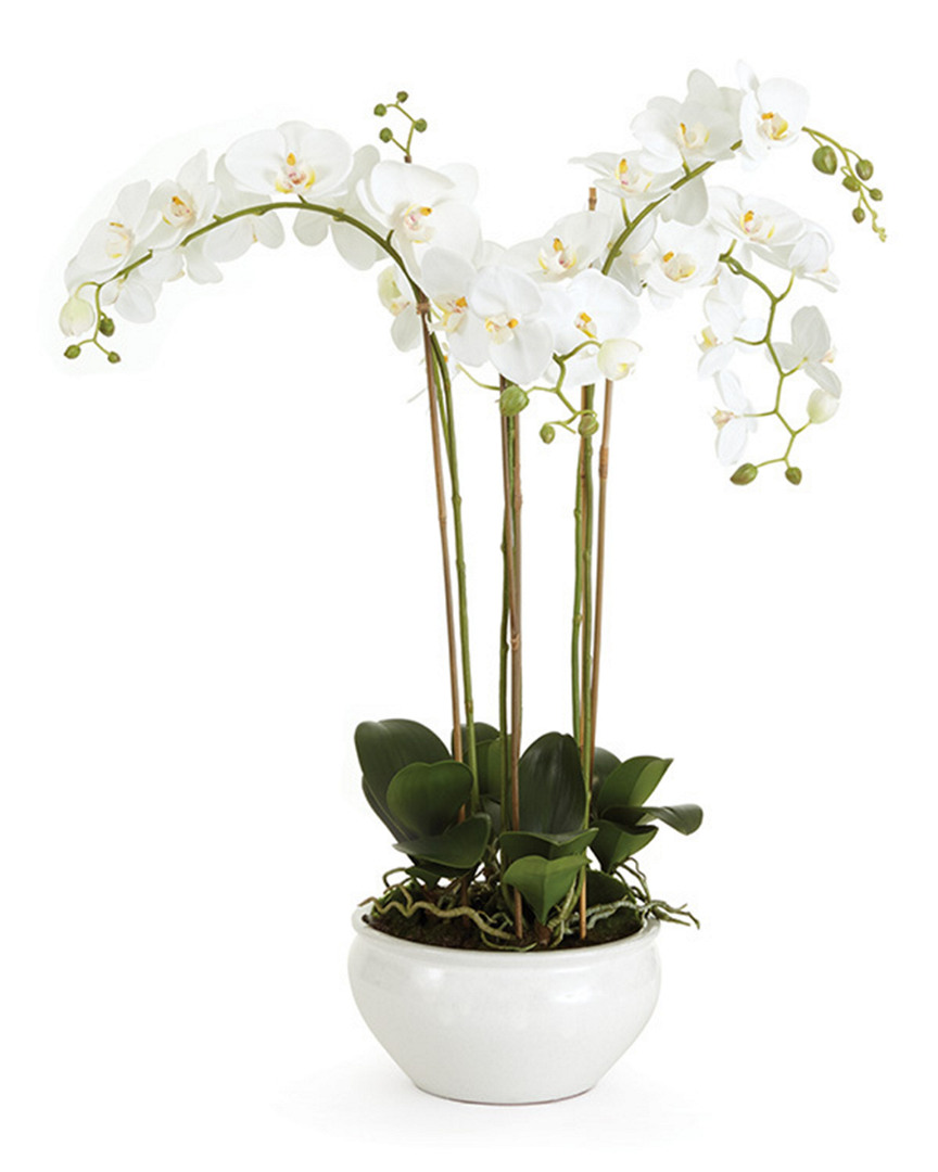 Napa Home & Garden Barclay Butera Phalaenopsis In Ceramic Bowl In White