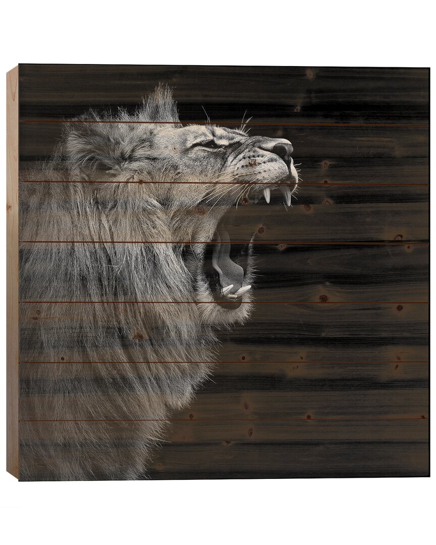 Icanvas Lion In Black & White I Wood Print By Lukas Holas Wall Art