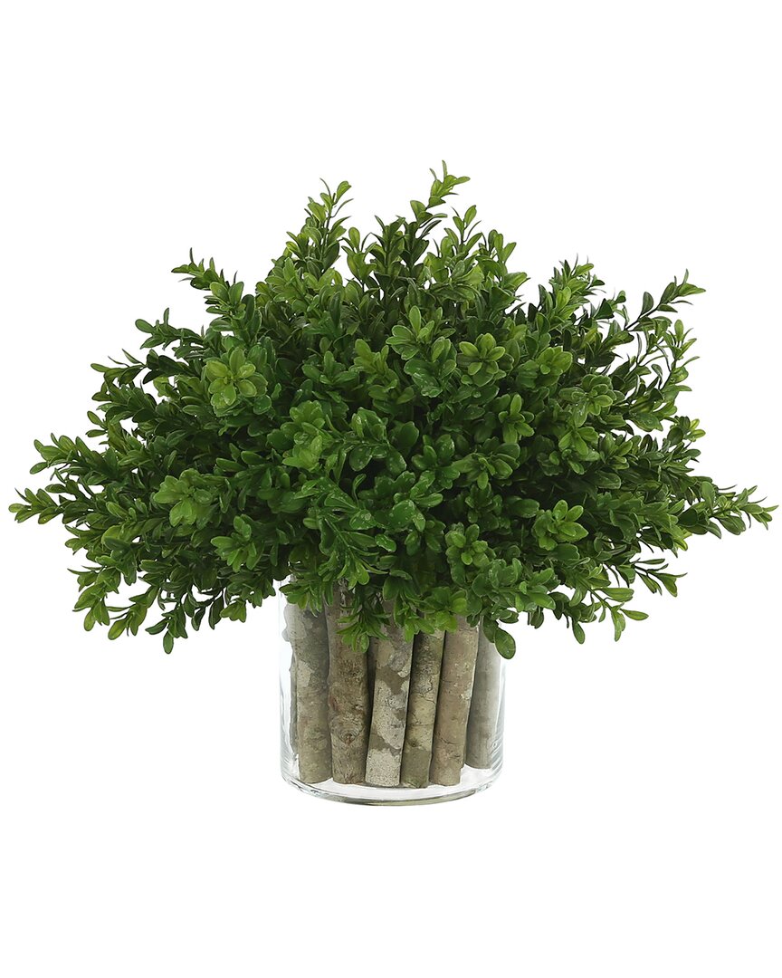 Creative Displays Boxwood In A Glass Vase With Birch Sticks In Green