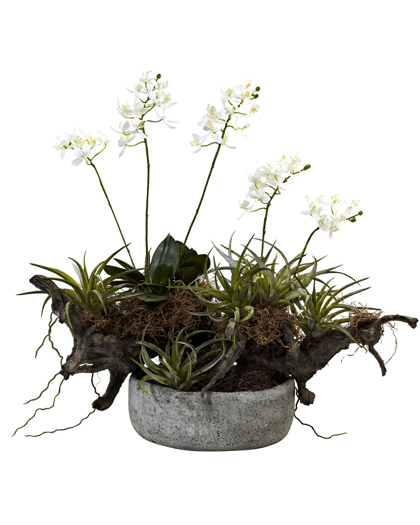 NEARLY NATURAL NEARLY NATURAL ORCHID & SUCCULENT GARDEN