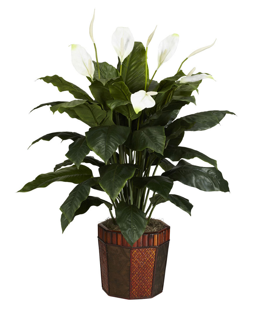 Nearly Natural Spathiphyllum
