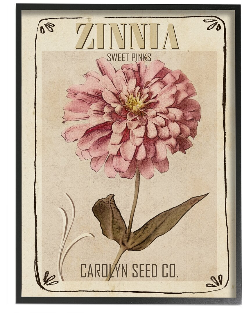 Stupell Sweet Pink Zinnia Florals Vintage Seed Packet By Studio W Wall Art
