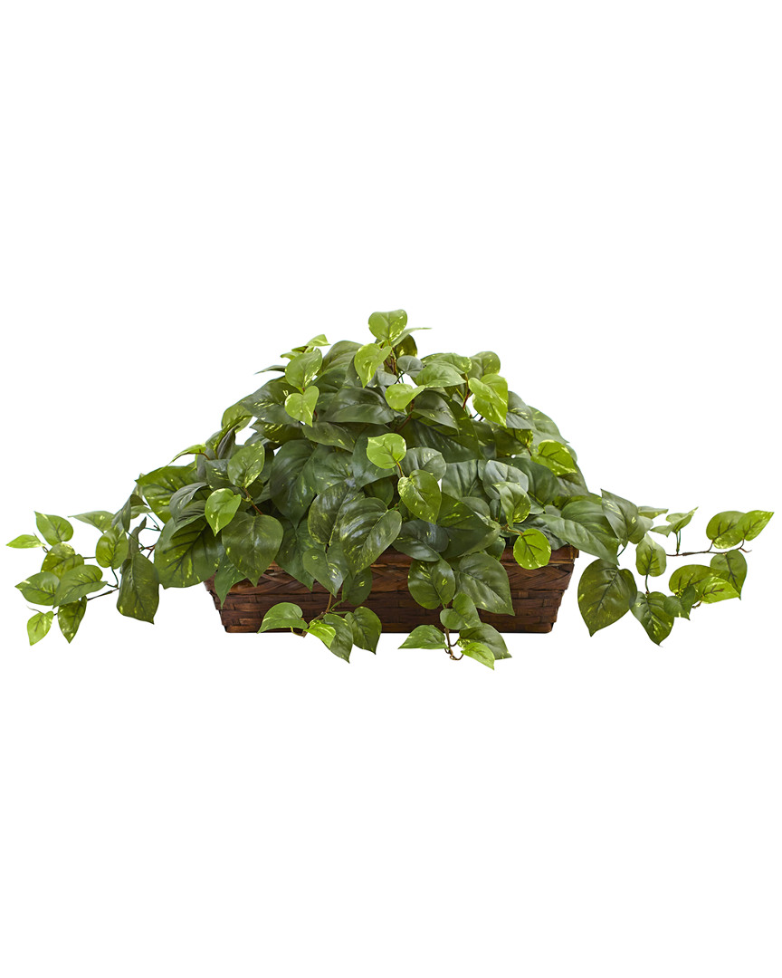 Nearly Natural Pothos With Ledge Basket