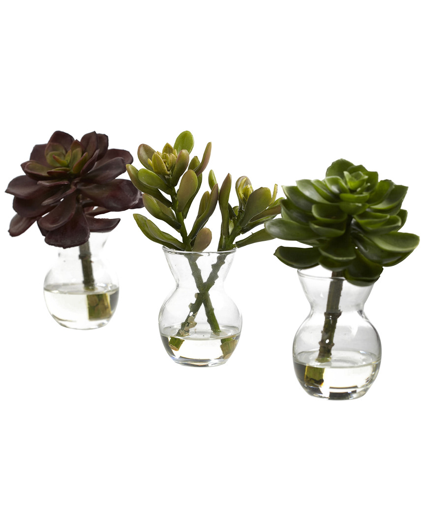 Nearly Natural Set Of 3 Succulent Arrangements