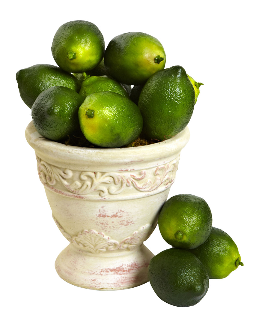 NEARLY NATURAL NEARLY NATURAL SET OF 12 FAUX LIMES