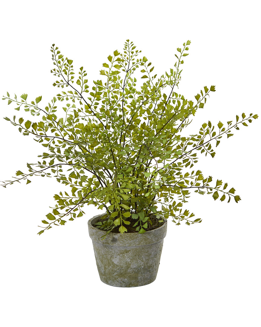 Shop Nearly Natural Maiden Hair Artificial Plant In Decorative Planter